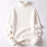Asher Ribbed Turtleneck